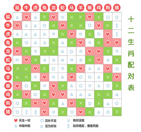 生肖相生|生肖配对（根据十二属相之间相合、相冲、相克、相害、相生、相。